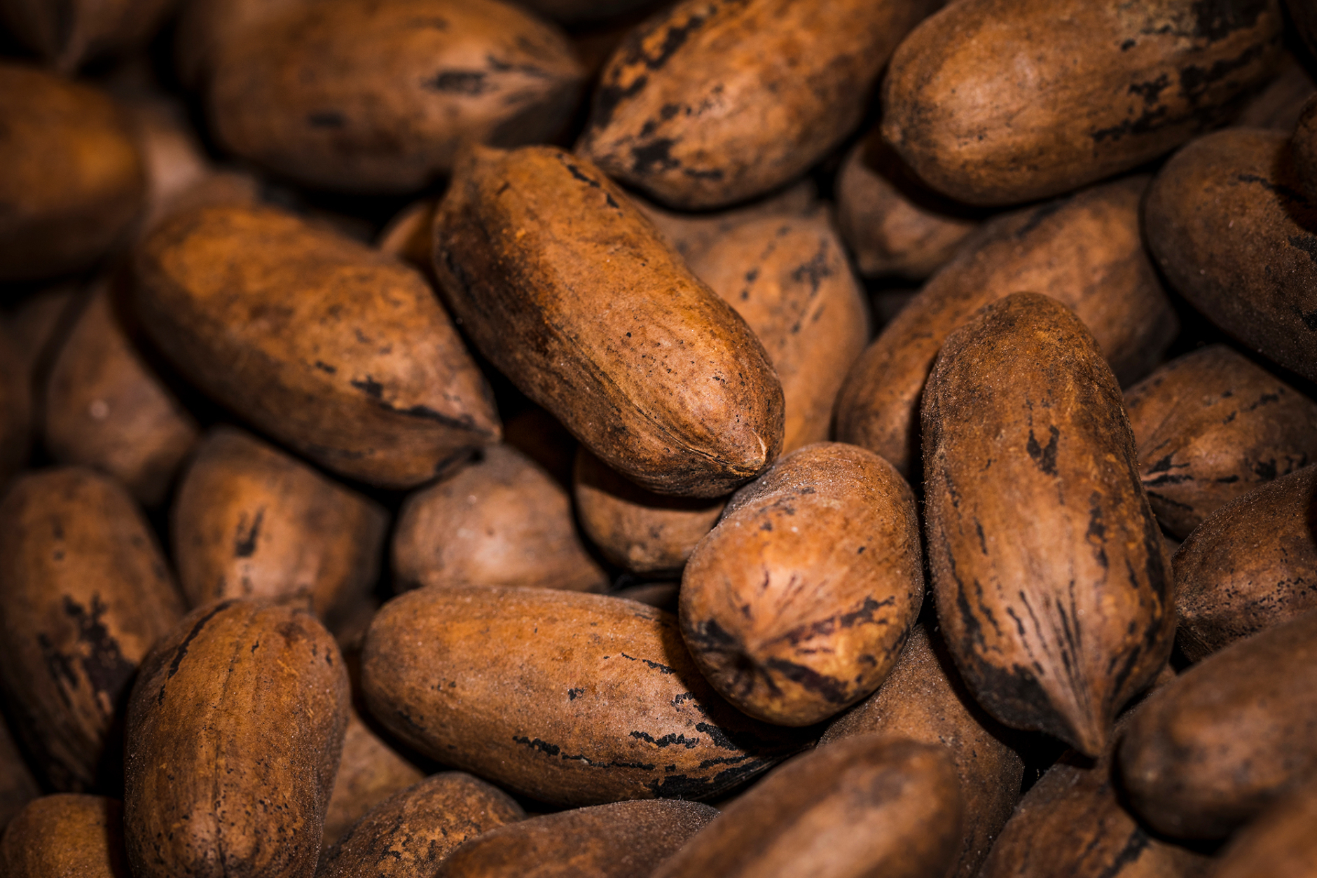 Shopito - Produkte für Schönheit und Wohlbefinden