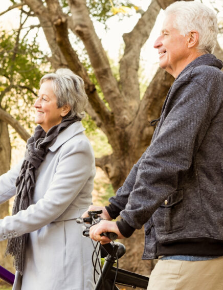 Online Shop - Zimttabletten Plus, 90 Tabletten mit Chrom und Zink